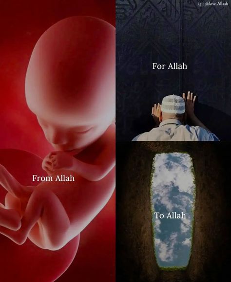 @theislamically • From Allah, For Allah, To Allah. • Threads Memories Quote, Thank You Allah, Blessed Night, S Love Images, Islamic Cartoon, Alphabet Wallpaper, Islamic Video, True Feelings Quotes, Ya Allah