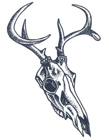 It Tattoo Design, Skull Dotwork, Deer Skull Tattoo, Elk Skull, Deer Skull Tattoos, It Tattoo, Tiger Skull, Skull Hand Tattoo, Realistic Temporary Tattoos