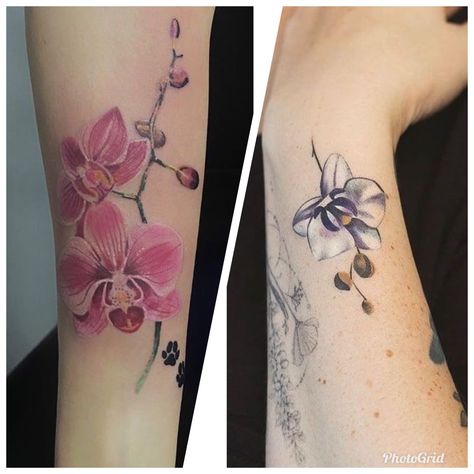 Abstract Orchid Tattoo, Japanese Orchid, Abstract Orchid, Disney Sleeve Tattoos, Disney Sleeve, Orchid Tattoo, Floral Tattoos, Japanese Tattoos, Tattoo Artwork