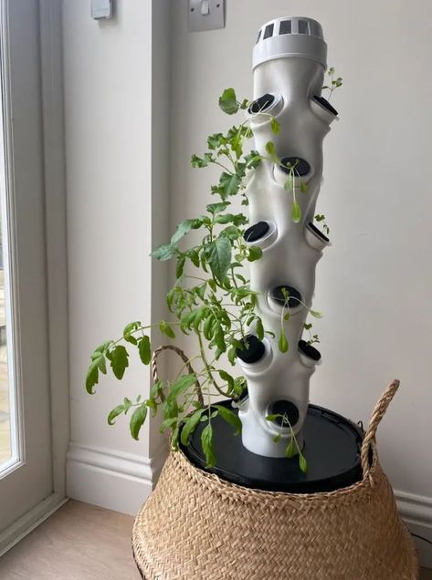 Hydroponic Aesthetic Diy Hydroponics, Hydroponics Diy, Vertical Farming, Tower Garden, Plant Room, Organic Farm, Hydroponics System, Hydroponic Gardening, Room With Plants