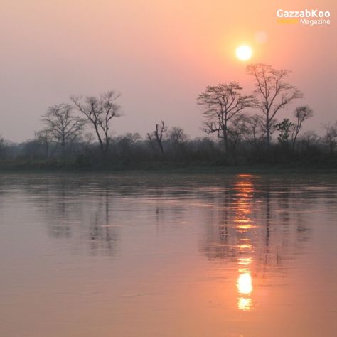 Nature's masterpiece: Sunset reflections on the tranquil rivers of Chitwan. 🌅🌊 #GazzabKoo #Pictureoftheday #ChitwanSunset River Reflection, Reflection Of Light, The River, Sketch, Drawings, Water, Quick Saves, Nature