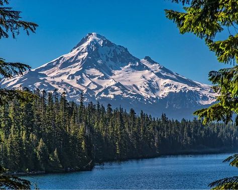 Lost Lake Oregon, Oregon Camping, Pedal Boats, Hood River Oregon, Camping Park, Best Campgrounds, Sea Resort, Tent Site, Camping Places