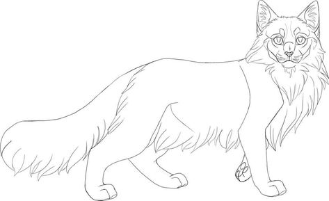 Cat Coloring Pages Free Printable, Cat Coloring Pages, Cat Template, Cat Outline, Small Drawing, Cat Drawing Tutorial, Cats Art Drawing, Animal Pins, Cat Coloring