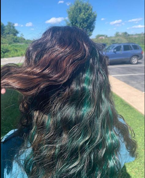 Turquoise Peak A Boo Hair, Brown And Aqua Hair, Curly Died Hairstyles, Teal Highlights In Black Hair, Teal Highlights In Brown Hair, Teal Hair Streaks, Peak A Boo Hair, Teal Hair Highlights, Blue Peekaboo Highlights