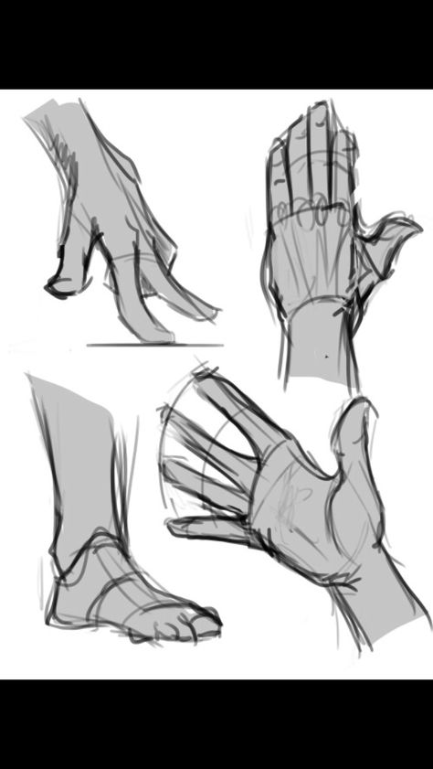 Hands Draw People, Hand Drawing Reference, Human Anatomy Art, Anatomy Sketches, Anatomy Drawing, Arte Inspo, Figure Drawing Reference, Body Drawing, Hand Art Drawing