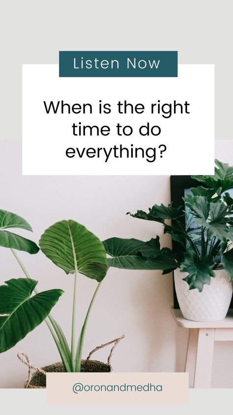 Learn about Divine timing and the difference between using the concept to disconnect from our creative power and absolve ourselves from responsibility and using it to align with what we want in order to create it. Diy Waist Trainer, Yellow Tree, Divine Timing, Creative Living, Hacks Diy, Monstera Leaf, Palm Oil, Black Spot, Sustainable Living