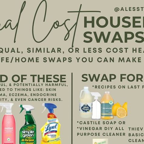 Kara | Toxin Free Living | A less toxic and healthier life CAN work in all budgets! See my previous feed post (right before this one) for TWENTY SEVEN FREE ways to ... | Instagram Toxin Free Living, Toxic Free Living, Toxic Free, Toxin Free, Castile Soap, Zero Waste Living, Healthy Life, The Twenties, Budgeting