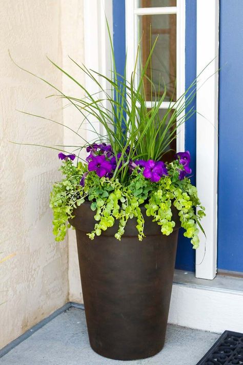 Tall Antique Bronze Flower Planter #flowerpot #frontdoor #frontporch #decorhomeideas Circle Planter Ideas, Poolside Planter Ideas Full Sun, Large Indoor Planter Ideas, Fall Potted Plants Front Porches, Planters Flowers, Porch Appeal, Stump Planter, Arbor Garden, Front Porch Flower Pots