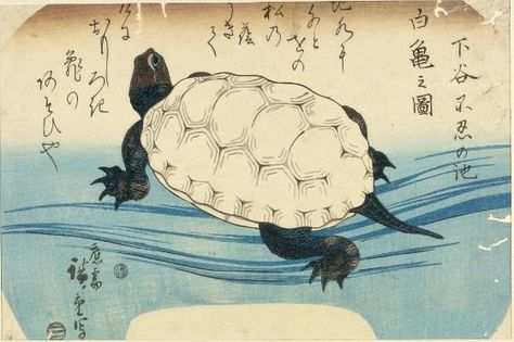 Japanese Turtle, Vintage Asian Art, Sea Creatures Art, Japanese Art Modern, Turtle Drawing, Harvard Art Museum, Japanese Drawings, Utagawa Hiroshige, Japanese Art Prints