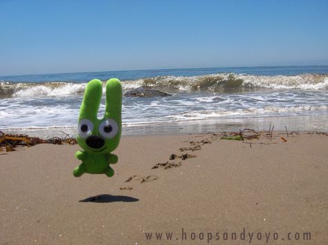 Hoops And Yoyo, Manado, Funky Art, Reaction Pictures, The Beach, Memes, Funny, Green, Photography