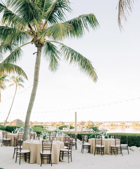 Outdoor beach wedding reception at @hawkscayresort by @destinationweddingstudio and @marathonflorist .  #outdoorwedding #hawkscayweddings #floridakeyswedding #carestudios #beachreception #keywestphotographer Beach Reception Decor, Hawks Cay Resort Wedding, Outdoor Beach Wedding Reception, Beach Reception Decorations, Key West Beach Wedding, Hawks Cay Resort, Beach Reception, Outdoor Beach Wedding, Florida Keys Beaches