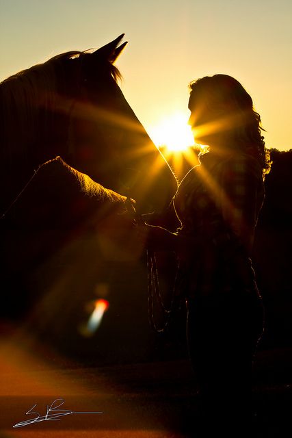 I love anything and everything horse.    Cowgirl Silhouette  by SeanBrinson, via Flickr Sunset Photoshoot Ideas, Cowgirl Silhouette, Equestrian Photoshoot, Horse Photoshoot Ideas, Horse Photography Poses, Inspirational Horse Quotes, Beautiful Horses Photography, Explore Dream Discover, Just Keep Swimming