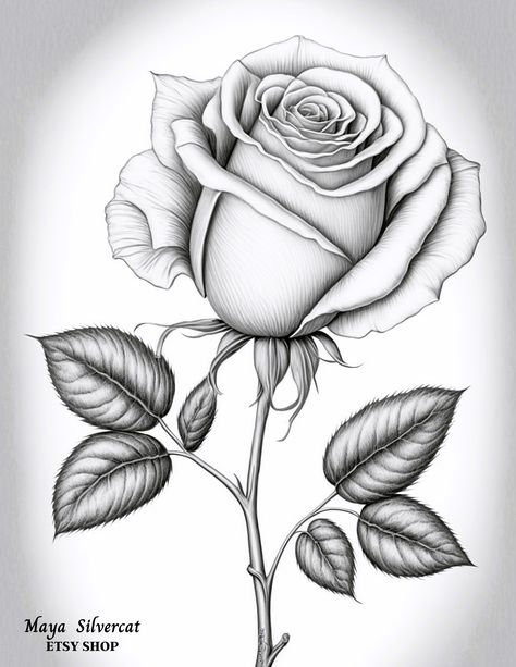 Flower Drawing In Color, Rose Coloring Pages Free Printable, Beautiful Flowers Drawing Design, Realistic Coloring Pages, Greyscale Coloring Pages, Rose Drawings, Rose Coloring, Rose Flower Tattoos, Rose Drawing Tattoo