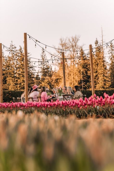 Hosting On-Site Farm Events - The Flowering Farmhouse Farm Events Ideas, Flower Farm Aesthetic, Farm Experience, Tulip Seeds, Farm Retreat, Pumpkin Festival, Golden Hour Photos, Fall Bulbs, Tulip Festival