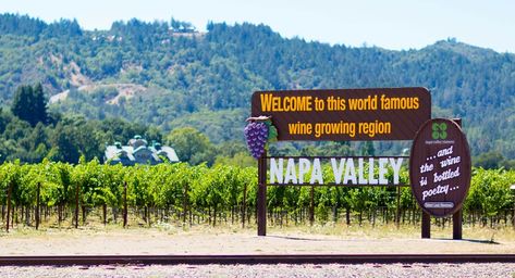 A first-timer's guide to Napa Valley — Lonely Planet Point Reyes Lighthouse, California Getaways, Napa Wineries, Napa Valley Wineries, Russian River Valley, California Wine Country, Russian River, Napa Valley Wine, Wine Country California