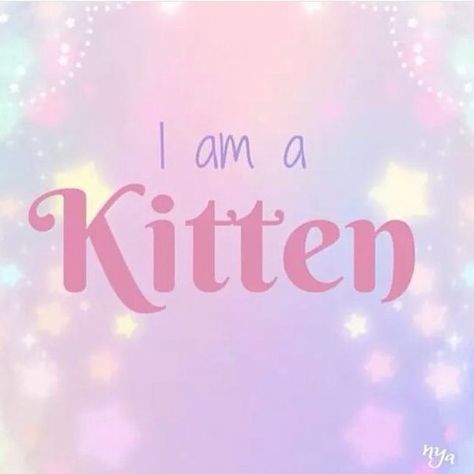 Kitten Quotes, Pet Spaces, Kittens Playing, Baby Kittens, Little Kittens, Girl Quotes, Kittens, Pastel, Pet