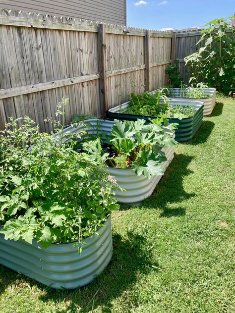 Raised Garden Bed Aesthetic, Galvanized Raised Garden Beds Landscape Design, Trough Planter Ideas, Raised Garden Beds Ideas Layout, Metal Raised Garden Beds With Trellis, Metal Vegetable Beds, Planting Outdoor, Galvanized Steel Raised Garden Beds, Cheap Backyard Ideas