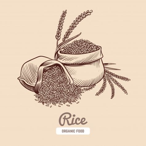 Rice Illustration, Wheat Drawing, Natural Skincare Packaging, Chinese New Year Background, Chinese New Year Design, Banner Drawing, Chinese New Year Greeting, New Year Illustration, Food Graphic Design