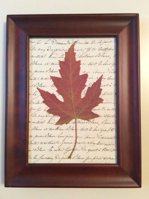 Spring Dollar Store Crafts, Fall Leaves Pictures, Maple Leaf Art, Simple Wood Frame, Leaf Print Art, Leaves Craft, Leaf Craft, Autumn Leaves Craft, Autumn Leaves Art