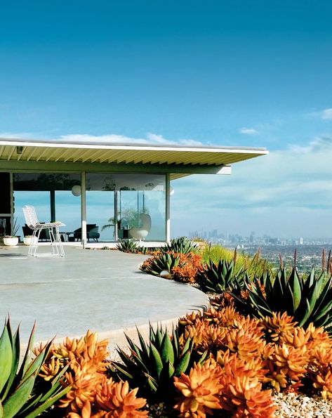 Inside L.A.’s Most Iconic Example of Mid-century Modern Architecture | Vanity Fair Hollywood Hills Mid Century Modern, Mid Century Pavilion, Mid Century Modern Los Angeles, Palm Springs Mid Century Modern Interior, Mcm Landscaping, Mid Century Architecture 1960s, Mid Century Modern Beach House, 60s Architecture, Mid Century Modern Pool