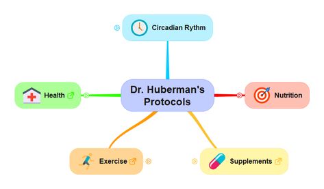 A Mind Map of Dr. Huberman Protocols Dr Huberman, Huberman Lab, Tenured Professor, Andrew Huberman, Unsaturated Fats, University School, Life Routines, Testosterone Levels, Circadian Rhythm