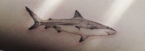 Blacktip Shark, Shark Tattoo, Shark Tattoos, Tattoo Art, Maple Leaf Tattoo, I Tattoo, Art Tattoo, Tattoos, Quick Saves