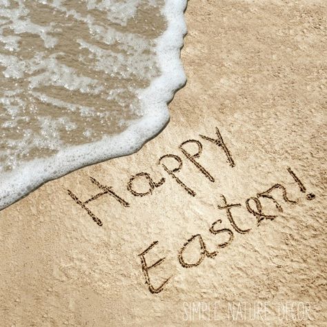 Easter Beach Photos, Beach Easter Pictures, Happy Easter Beach Images, Easter At The Beach Ideas, Easter On The Beach, Easter At The Beach, Lunch On The Beach, Hilton Head Beach, Ocean Beauty