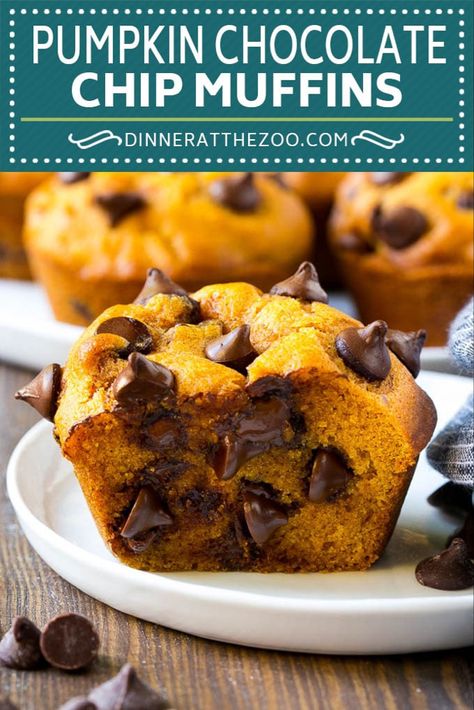 Easy Pumpkin Chocolate Chip Muffins, Pumpkin Chocolate Chip Muffin Recipe, Chocolate Pumpkin Muffins, Pumpkin Chip, Pumpkin Muffins Easy, Pumpkin Breakfast, Pumpkin Muffin Recipes, Pumpkin Chocolate Chip Muffins, Pumpkin Banana