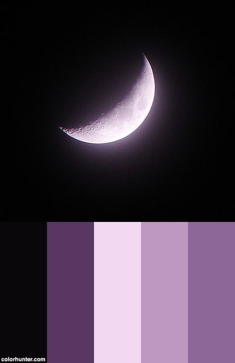 Moon {violet} Color Scheme from colorhunter.com Red Moon Color Palette, Purple And Black Color Scheme, Royal Purple Color Scheme, Moon Colors Palette, Moon Colour Palette, Moon Pallete, Pastel Goth Color Palette, Moon Color Palette, Dark Purple Color Palette