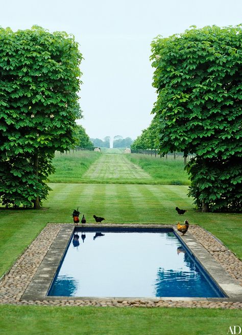 New England Swimming Pools, Nantucket Pool, Country Pool, Moderne Pools, Pool Inspiration, Small Pools, Swimming Pool Designs, Garden Pool, Pool Design