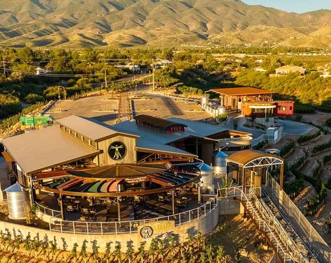 Top 10 Cottonwood Wineries in Arizona (Map Included) Verde Valley Arizona, Cottonwood Arizona, Sedona Arizona Travel, Grand Canyon Vacation, Cottonwood Az, Arizona Map, Visit Arizona, Wine Trail, Girls Vacation