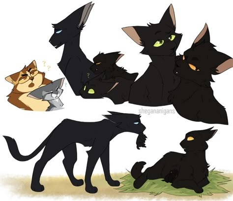 By shegananigans on Tumblr #warriorcats #warriorcatsart Warrior Cat Designs, Warrior Cat Memes, Warrior Cats Series, Warrior Cats Books, Warrior Cats Fan Art, Cat Jokes, Warrior Cat Drawings, Warrior Cat Oc, Cat Oc