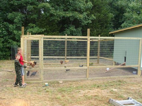 Easy Diy Chicken Coop, Urban Chicken Farming, Chicken Fence, Biggest Chicken, Chicken Pen, Diy Chicken Coop Plans, Chicken Coop Run, Urban Chickens, Backyard Chicken Farming