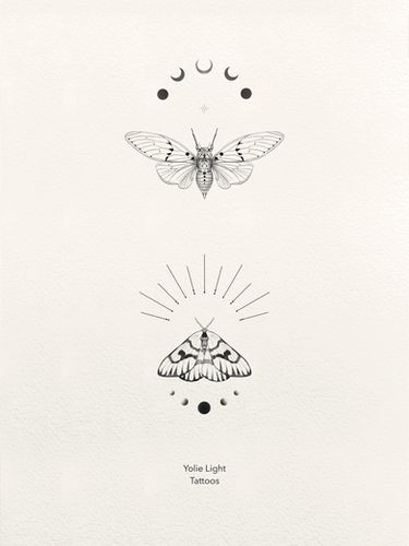 Upper Back Tattoo Butterfly, Small Moth Tattoo, Ghost Cicada, Moth Tattoo Meaning, Moth Tattoos, Moth Tattoo Design, Lantern Tattoo, Upper Back Tattoos, Sister Tattoo