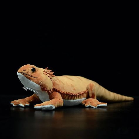 Dragon Pet, Soft Beard, Bearded Dragon Cute, Realistic Stuffed Animals, Pet Dragon, Dragon Toys, Dragon Lover, Bearded Dragon, Animal Dolls