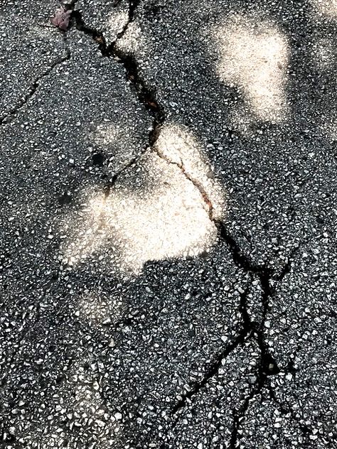 Cracked Pavement at Bay Beach - cement, cracks, shadows Cracked Pavement, Cement, Poppies, Close Up, Texture, Black And White, Pattern, Color