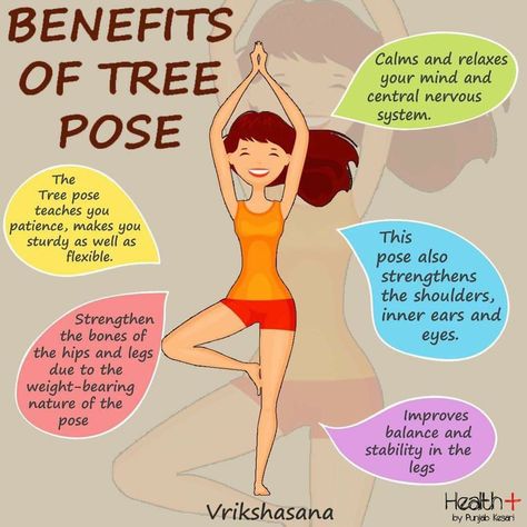 Tree Pose Yoga, Yoga Information, Yoga Facts, Daily Yoga Workout, Tree Pose, Health And Fitness Articles, Easy Yoga Workouts, Pose Yoga, Fitness Articles