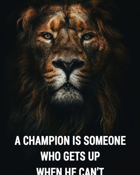 Great Qoutes, Lion Motivation, Entrepreneurship Motivation, Leo Quotes, Lion Quotes, Planet Mars, Powerful Motivational Quotes, Lion Pictures, Motivational Picture Quotes