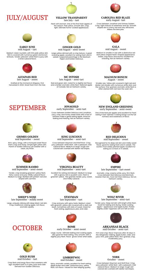 Apple Varieties – Altapass Orchard Apple Sweetness Chart, Apple Tree Varieties, Apple Names, Orchard Tree, Apple Types, Apple Varieties, Apple Harvest, Apple Orchard, Backyard Garden Design