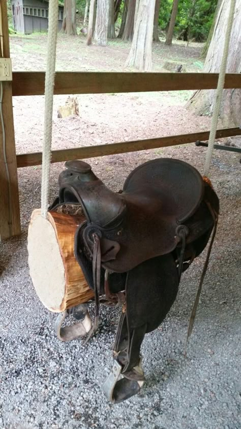 Old Saddle Decor Ideas, Saddle Decor, Saddle Room, Tire Swing, Kids Outdoor Play, Equestrian Decor, Backyard Playground, Horse Decor, Hobby Horse