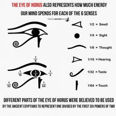 eye of horus, the 6 senses and mathematical values Eye Of Horus Meaning, Egyptian Eye Tattoos, Horus Tattoo, Kemetic Spirituality, Ancient Egypt Gods, The Eye Of Horus, Ancient Egyptian Symbols, Magia Das Ervas, Egypt Tattoo