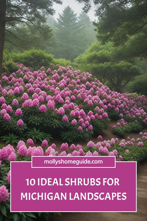 Are you looking to enhance your Michigan landscape with beautiful shrubs? Discover the best options with our guide to the top shrubs for Michigan. Whether you're in need of shade-loving plants, winter bloomers, or vibrant flowering shrubs, we've got you covered. Create a stunning outdoor oasis with the best Michigan trees and shrubs that thrive in your region's climate. From evergreen varieties to colorful blooms, these plants will add year-round interest to your garden. Michigan Landscaping Ideas, Michigan Trees, Michigan Landscaping, Plants That Love Shade, Ninebark Shrub, Michigan Gardening, Drought Tolerant Shrubs, Low Maintenance Shrubs, Shade Shrubs