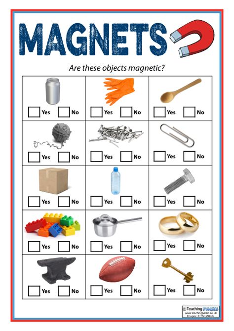 Magnet Worksheet, Magnet Science Project, Magnetic Objects, Science Experience, Magnet Activities, Magnets Science, Worksheet For Kindergarten, Creative Teaching Press, Primary Science