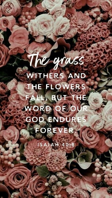 Wallpaper Backgrounds Bible, Wallpaper Backgrounds Bible Verses, Backgrounds Bible Verses, Christian Quotes Wallpaper, Bible Verse Background, Bible Quotes Wallpaper, Bible Quotes Images, Prayer Scriptures, Bible Verses Quotes Inspirational