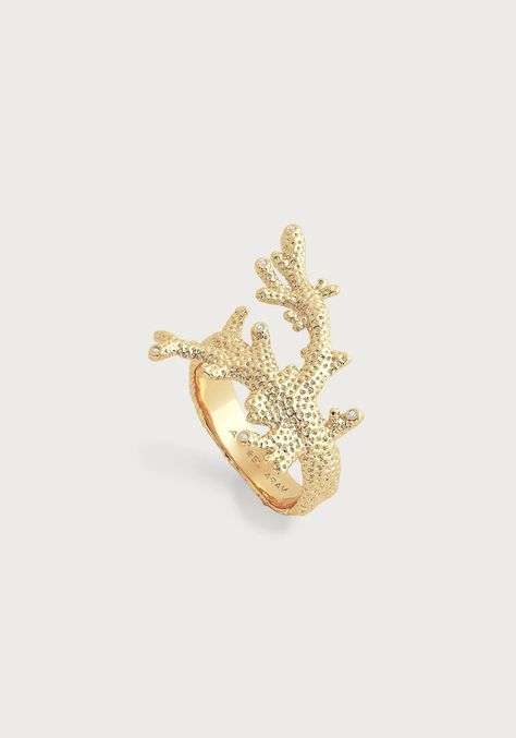 Coral Ring – Anabel Aram Ocean Clothes, Fantasy Earrings, Cool Piercings, Ocean Jewelry, Snake Jewelry, Coral Ring, Snake Earrings, Raw Beauty, Jewelry Lookbook