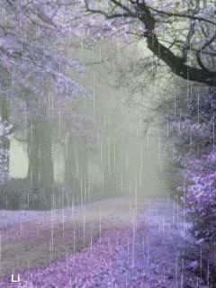 Sea Gif, Rain Gif, Rain And Thunderstorms, Marguerite Duras, Sea Storm, Smell Of Rain, I Love Rain, Under The Rain, Rain Storm