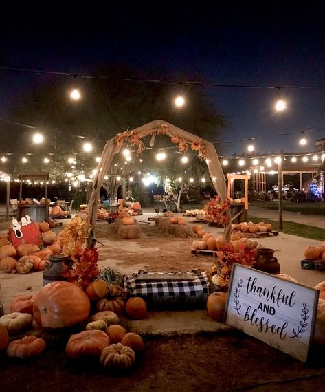 Farm Carnival Ideas, Pumpkin Patch Wedding Ideas, Small Pumpkin Patch Ideas, Pumpkin Walk Ideas, School Pumpkin Patch, Pumpkin Patch Food Ideas, Small Town Fall Festival, Pumpkin Patch Photo Op Ideas, Fall Fest Decorations