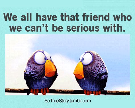 We all have that friend who we can't be serious with... love cute friendship quote animated hugs friend kisses gif poem online family & friends Friend Funny Quotes, Lol So True, Apple Strudel, Friend Funny, One Friend, Relatable Posts, Teen Posts, Relatable Stuff, Daily Funny