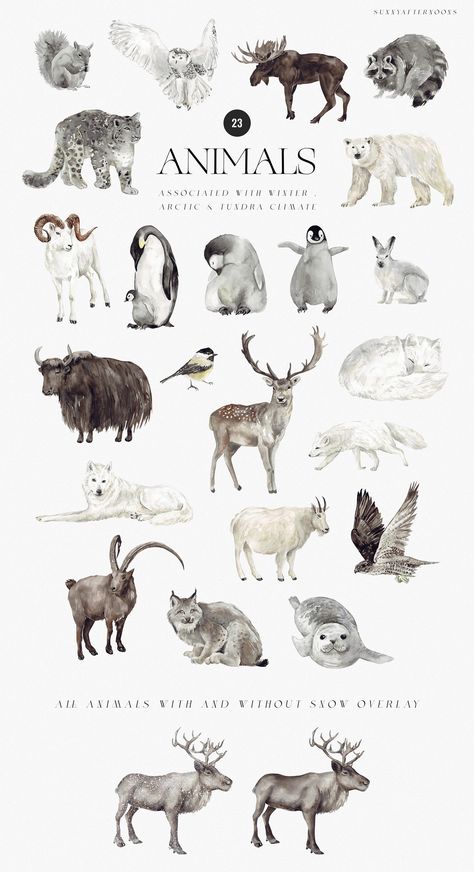 Winter Forest Animals Illustration, Christmas Animal Art, Winter Animals Illustration, Artic Tundra, Bear Illustration Art, Winter Nature Photography, Winter Woodland Animals, Winter Photography Nature, Christmas Illustration Design