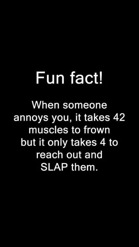 fun facts about slapping people Annoying People Quotes, Funny Emails, Annoying People, Family Humor, Flirting Quotes, People Quotes, Fun Fact, When Someone, Great Quotes